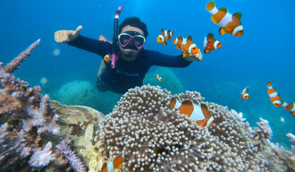 cara marketing paket wisata secara online agar leads stabil tanpa iklan