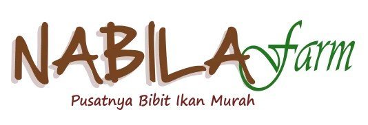 Nabila Farm: Ketika Bisnis Pembenihan Ikan Dibangun di Atas Kualitas, Bukan Sekadar Penjualan